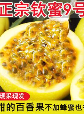 精品【广东钦蜜9号】黄金百香果新鲜大果现摘应季孕妇整箱批发