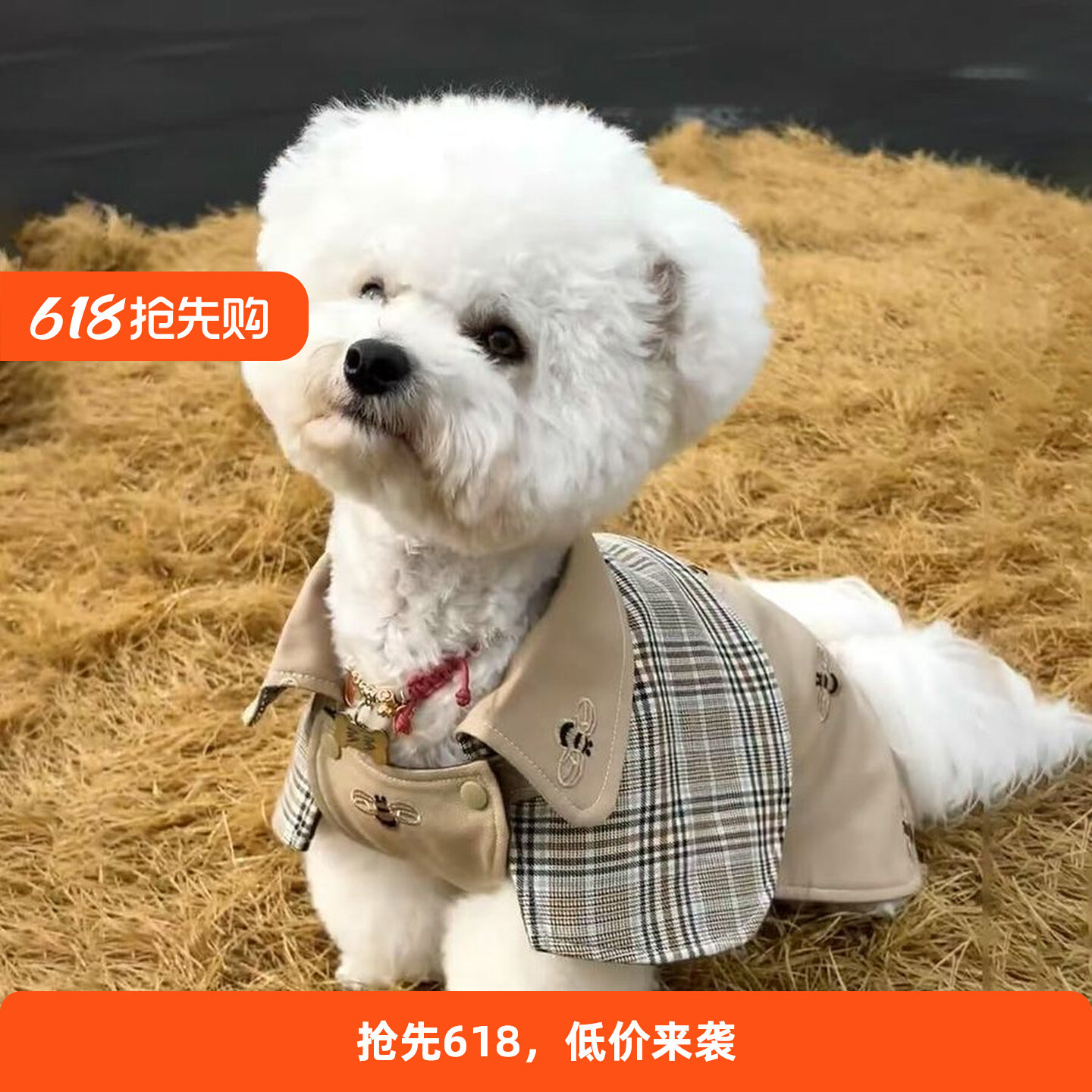 宠物狗狗猫咪秋冬英伦斗篷一体式外套绅士披风中小型犬雪纳瑞