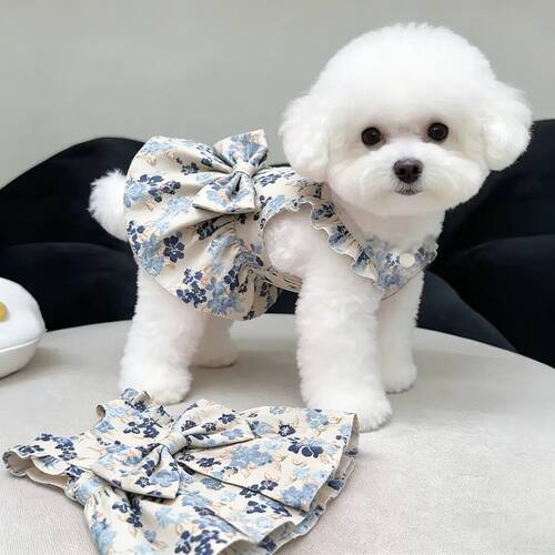 乖主人狗狗衣服春夏季新款公主裙