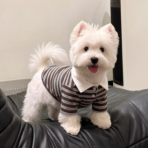乖主人宠物狗狗衣服夏天薄款衬衫