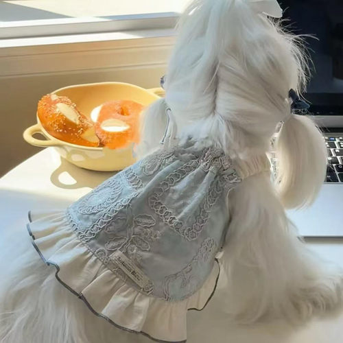 乖主人小型犬衣服透气蝴蝶公主裙