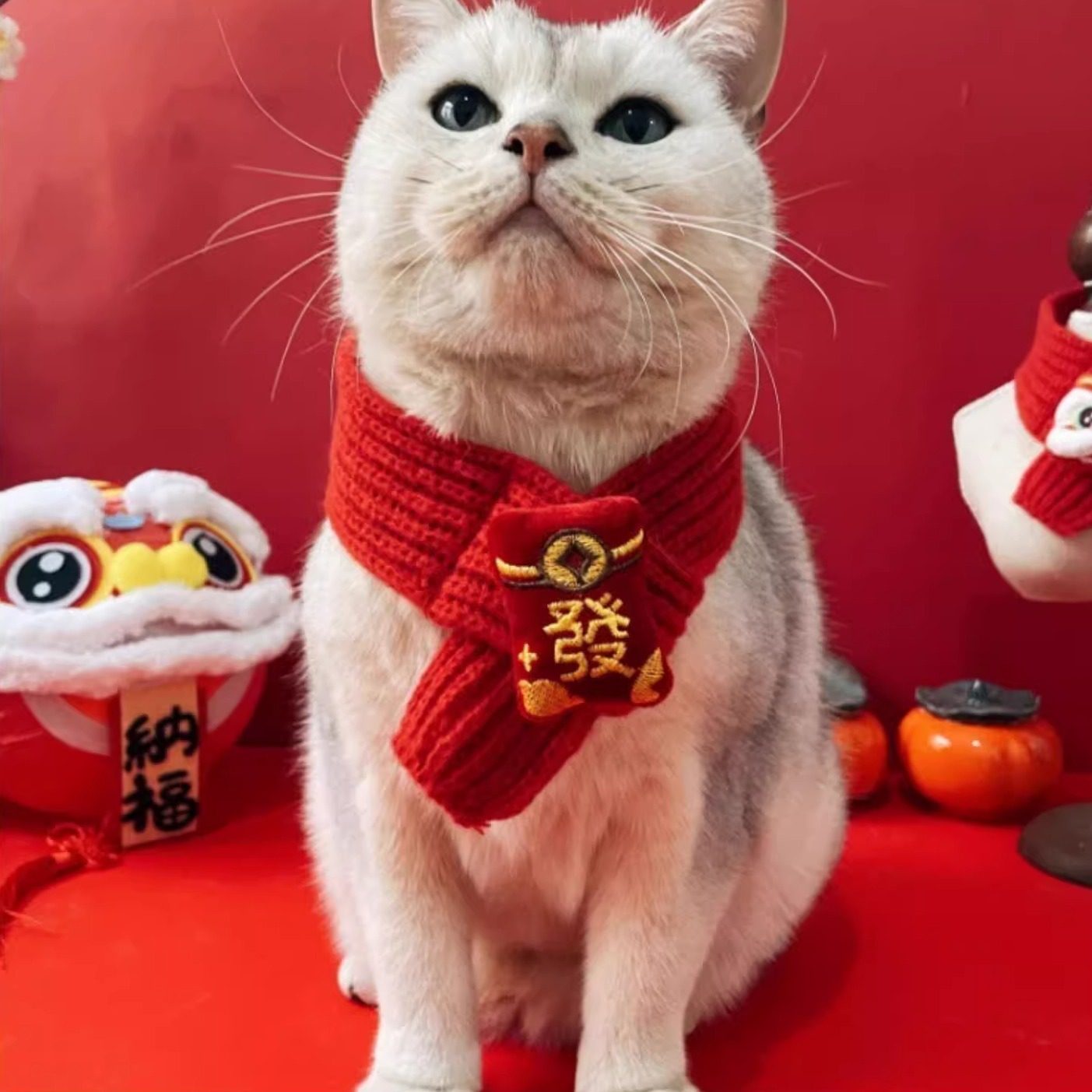 宠物围脖新年围巾红色喜庆冬保暖中国红配饰猫咪项圈醒狮毛线饰品,宠物/宠物食品及用品,围巾/口水巾,淘宝优惠券,粉丝福利购,淘宝优惠卷
