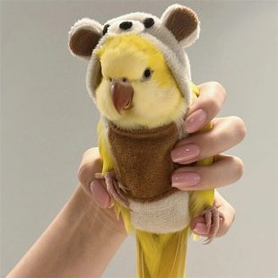 鹦鹉小鸟专用衣服搞笑小熊小太阳和尚玄凤牡丹冬天保暖加厚防寒