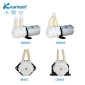 蠕动泵12v双头泵小型抽水泵水泵实验室泵头 大流量双通道微型双泵