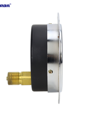 雷尔达 轴向带边压力表 Y100ZT 轴向真空压力表 气压油压水压