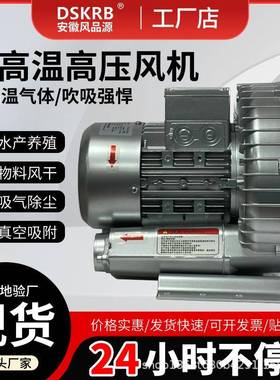 供应江苏扬州2RB330H16380V0.75KW养殖打氧单叶轮高压漩涡风机