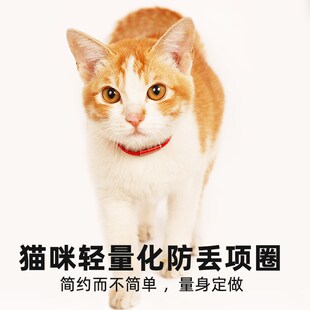 猫咪项圈防窒息可调节弹力轻型劲圈防丢失小型犬泰迪猫牌定制刻字