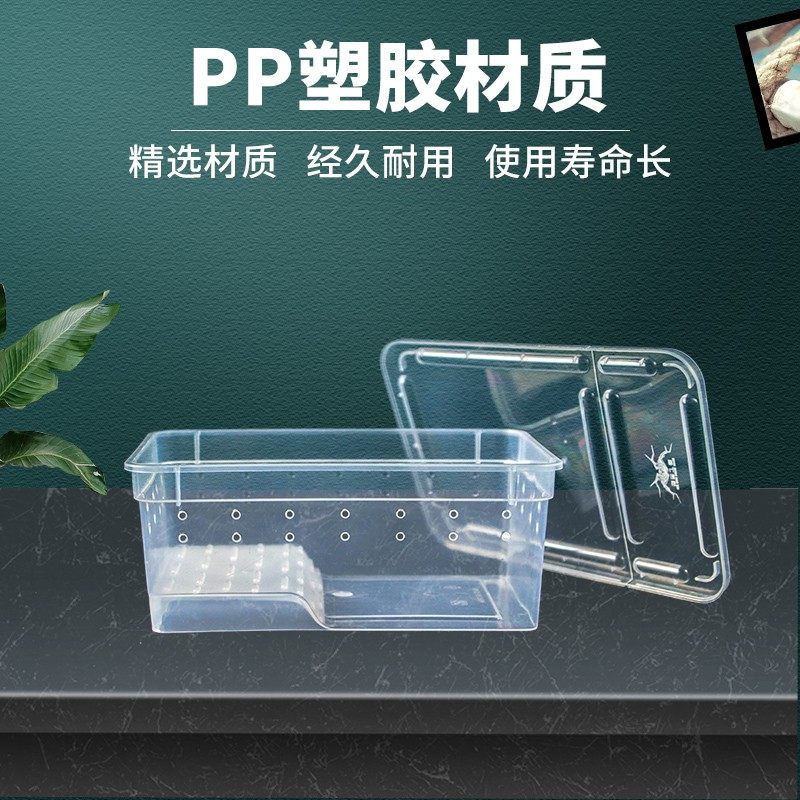 寄居蟹爬虫爬宠饲养箱造景盒乌龟冬眠用品角蛙蚕蜈蚣守宫蜗牛蜘蛛,宠物/宠物食品及用品,生态瓶/创意缸/微景缸,淘宝优惠券,粉丝福利购,淘宝优惠卷