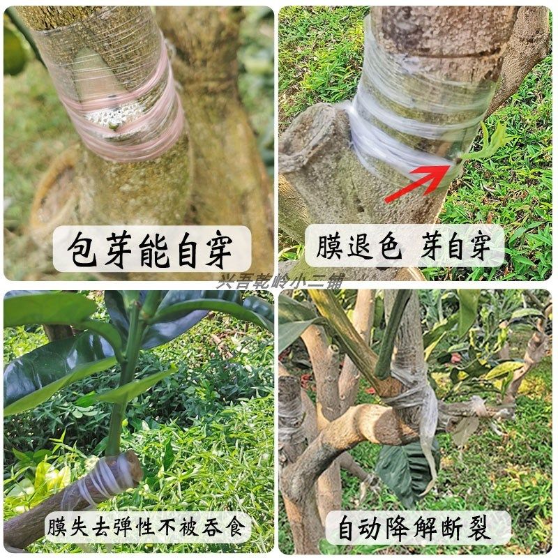 红色可降解果树嫁接膜嫁接专用膜缠绕打结款可降解芽可自剪免解绑,农机/农具/农膜,果树嫁接膜,淘宝优惠券,粉丝福利购,淘宝优惠卷