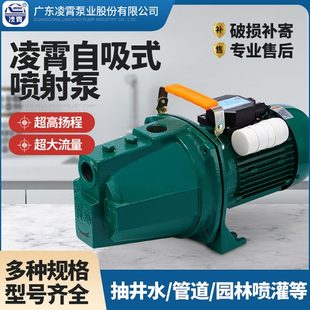 凌霄水泵自吸泵增压泵家用全自动加压泵喷射泵自来水井水抽水泵