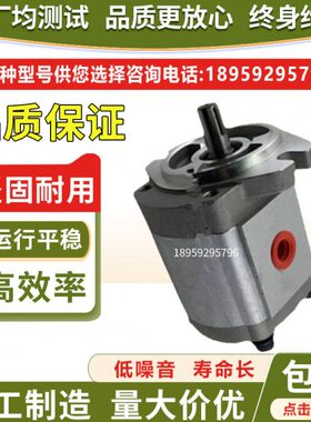 台湾KOMPASS康百世齿轮泵P104RP01GT P107RP01GT P109RP01GT 油泵