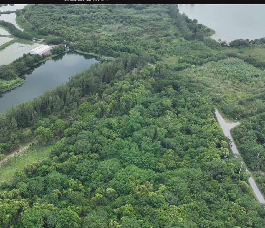 常熟市城市管理局所属南湖生活垃圾填埋场树木一批（含女贞、栾树、构树、香樟等）