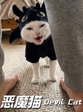 小恶魔猫无牙仔黑龙翅膀拍照服