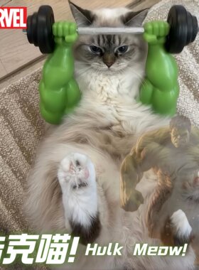 浩克咪！猫咪肌肉手臂！