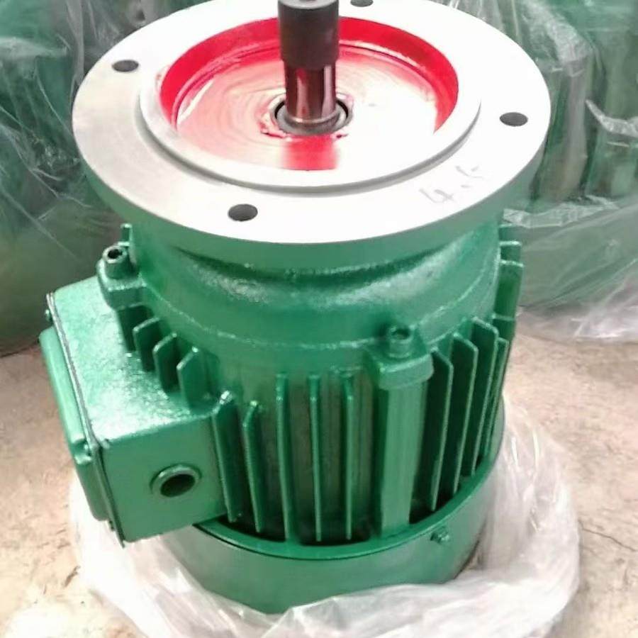 YE3电动机380v三相异步160L-4-15W,电子元器件市场,电机/马达,淘宝优惠券,粉丝福利购,淘宝优惠卷