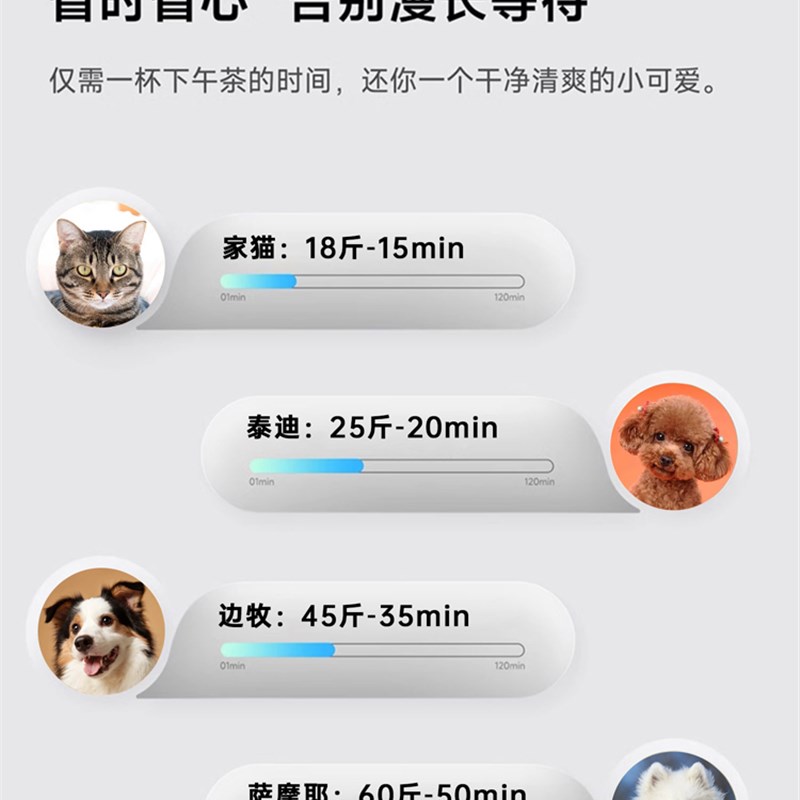 宠智迪中大型犬猫咪宠物烘干箱狗狗吹水机静音洗澡吹干神器