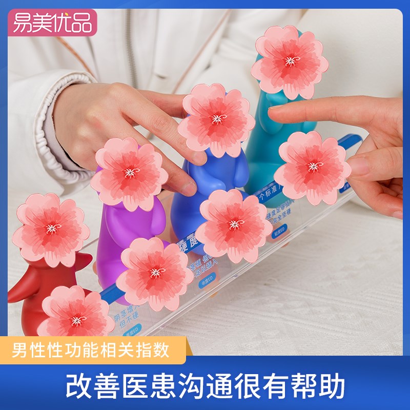 男性丁丁软硬大小程度科普模型一触究竟医学科普性功能辅助用具