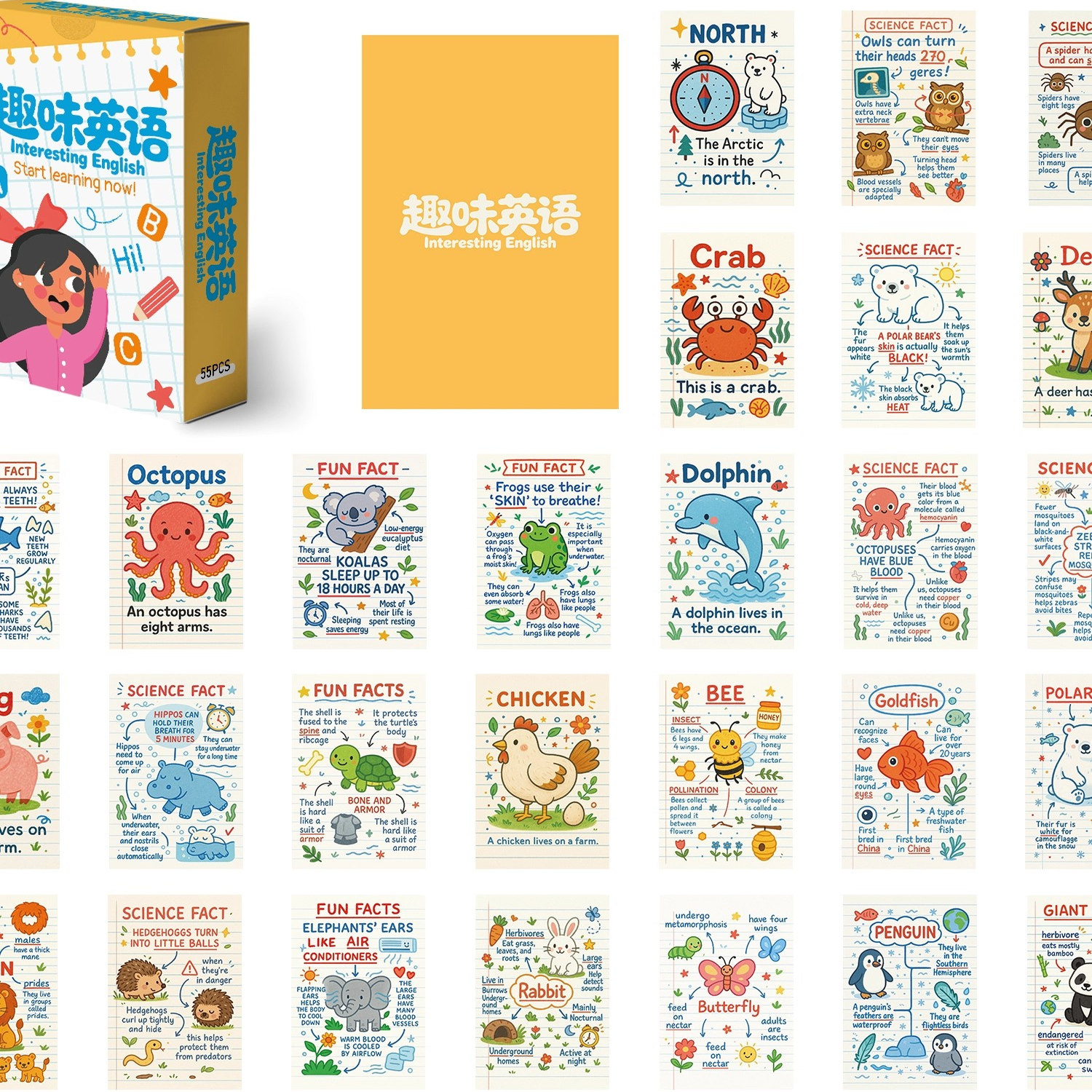 110张趣味英语小卡幼儿园中小学生课外知识思维导图学习防水卡片
