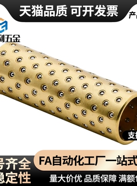 ADGS-3~12-10~40直线轴承/滚珠导向组件  标准型/紧凑型