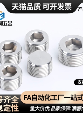 不锈钢带密封涂层型锥型沉头螺塞 堵头 MSWTSK J S 1 2 3 4 6 8