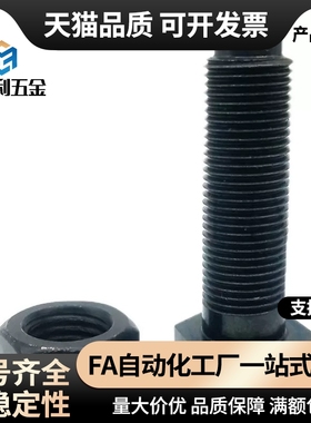 定位螺栓 螺纹前端R型STCA4/5/6/8/10/12/16 细牙/PBE21 正辰五金