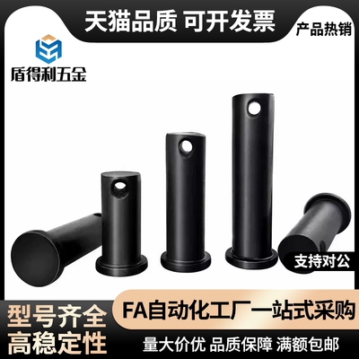 MIB01/02/06/11/12/13/14/15/21/31/32 带肩铰链销开口销固定型