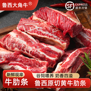 鲁西大角牛谷饲牛肋条 新鲜黄牛肉国产原切散养去骨牛肋排烧烤
