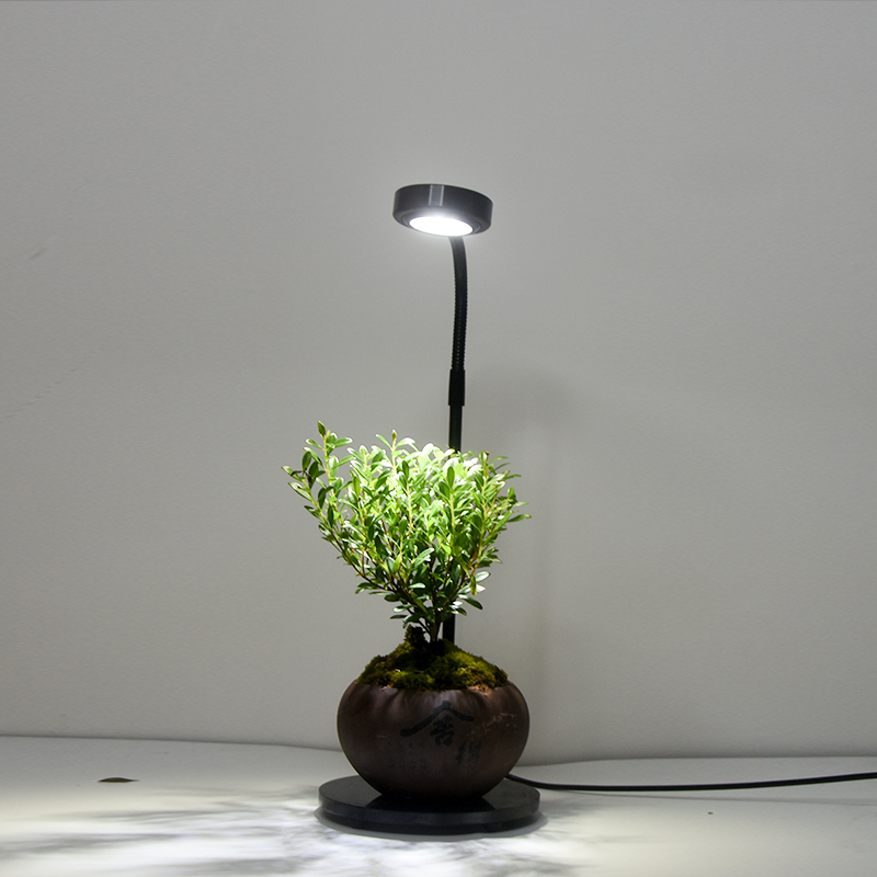 全光谱LED植物生长灯微景观灯压克力鱼缸灯苔藓灯多肉植物补光灯