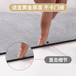 入户门地垫耐脏免洗玄关地毯家用高端简约进门垫子耐磨吸尘脚垫xi