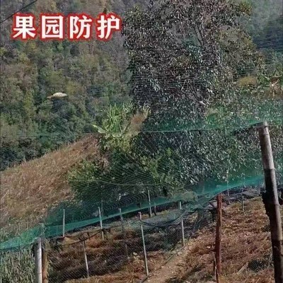 防小鸟网养殖天网果树果园防护网大棚通风网虾塘鱼塘防护家禽围网