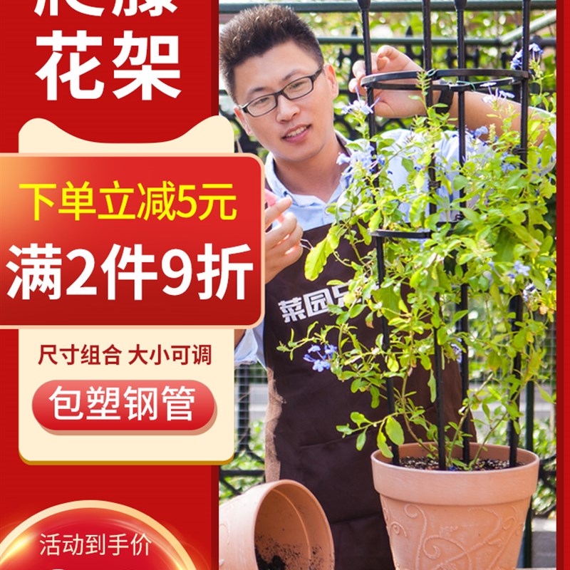 爬藤花架铁艺柱形园艺支柱月季铁线莲支架植物攀爬支撑杆架子