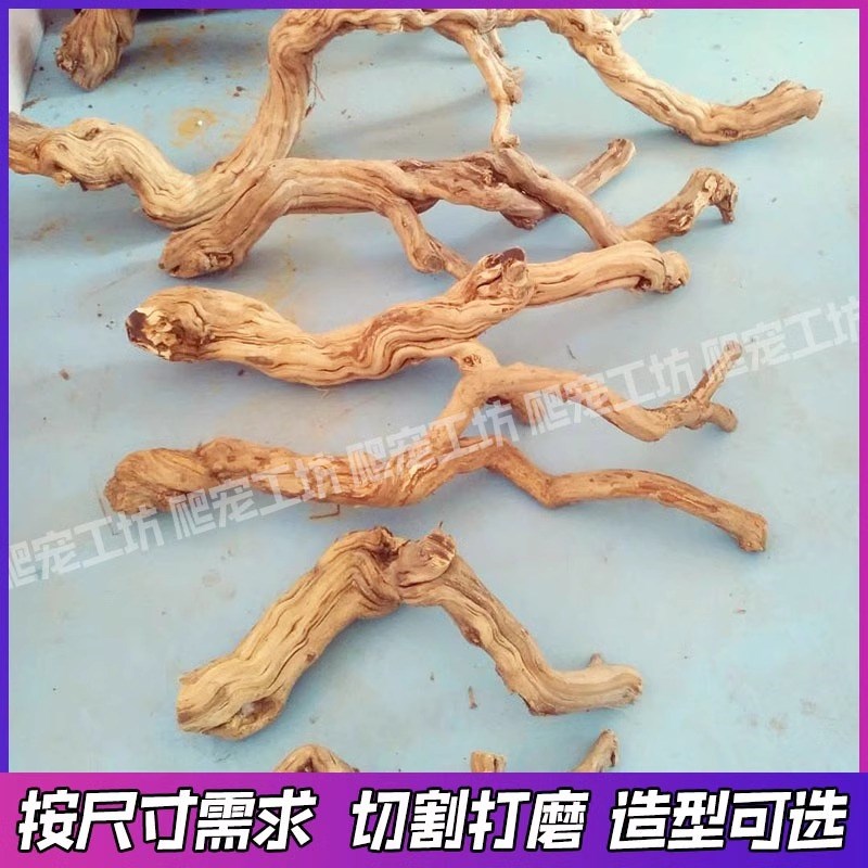 霸王藤木爬木鬃狮蜥蜴垫材装饰晒台守宫爬宠饲养缸饲养箱造景