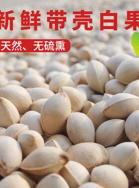 白果银杏果带壳新鲜生银杏果白果仁无漂白银杏果坚果休闲零食
