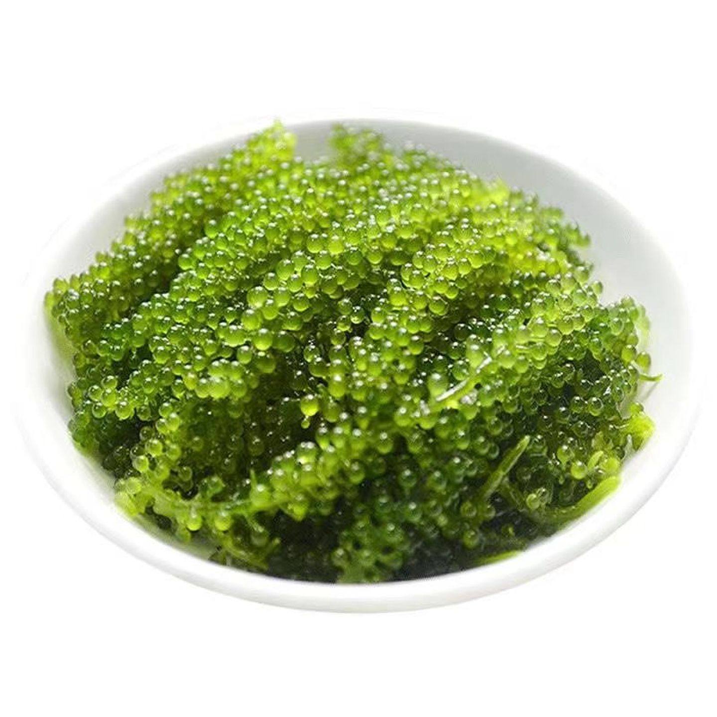 新鲜海葡萄即食长寿菜裙带菜海带海藻菜绿色鱼子酱100g,零食/坚果/特产,海带零食,淘宝优惠券,粉丝福利购,淘宝优惠卷