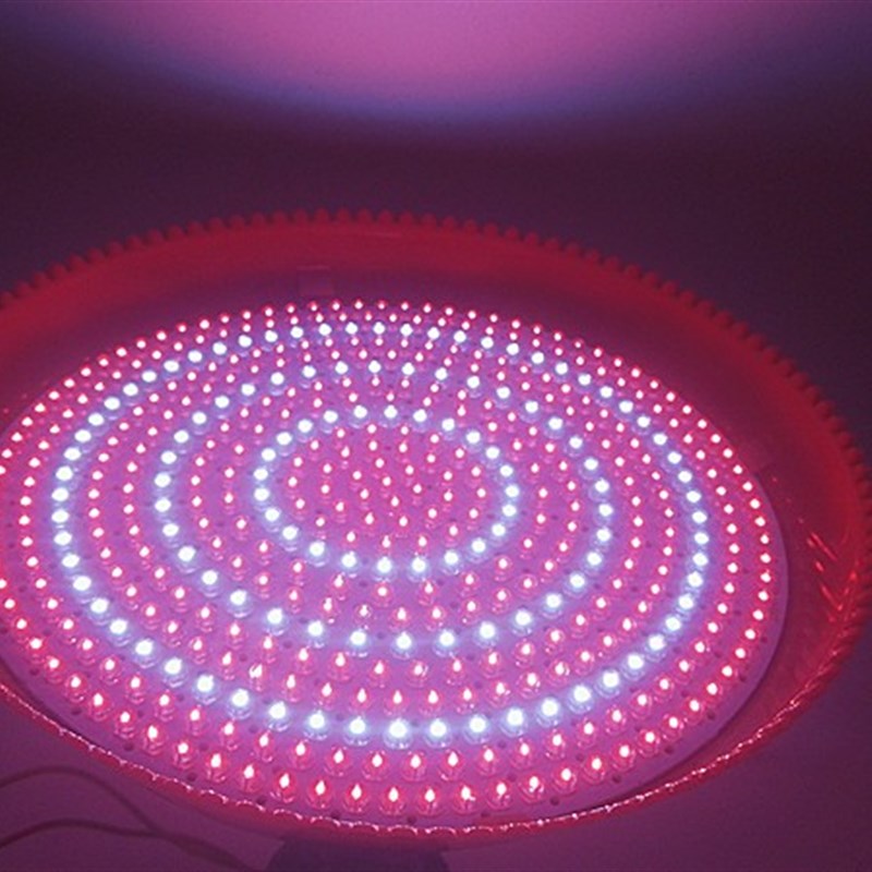 LED猪肉灯生鲜灯熟食烧腊灯市场超市灯30W60W70W定制红白特红螺口