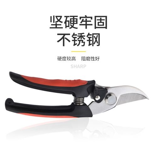 不锈钢树枝修枝剪花木剪园林果树花卉枝嫁接采摘水果园艺剪刀工具