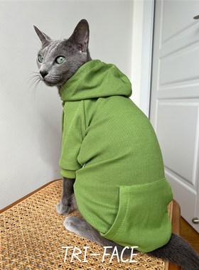 绿色卫衣 三角脸无毛德文阿比暹罗东短俄蓝豹猫春秋冬潮酷帽衫