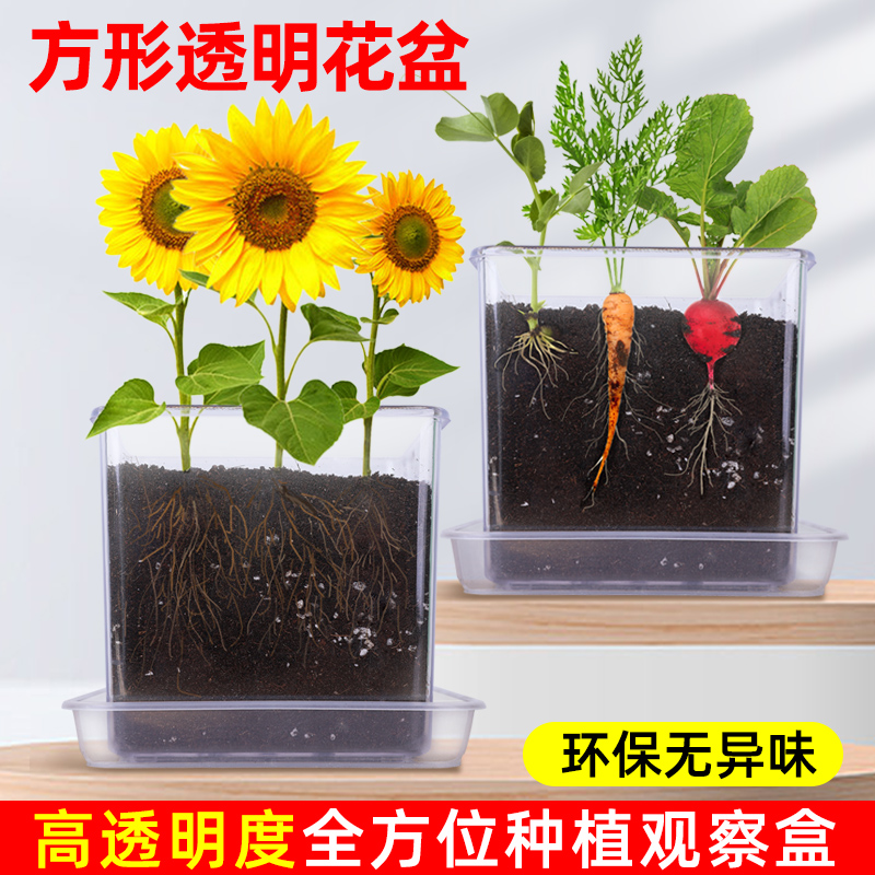 高透明塑料方形带底透气桌面创意水苔石斛洋兰蝴蝶兰苔藓专用花盆