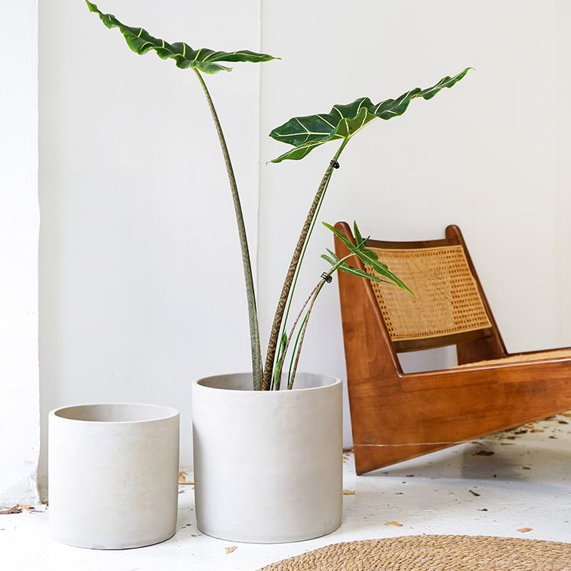 日式极简水泥花盆落地琴叶榕客厅特大35CM口径禅意圆柱客厅大号