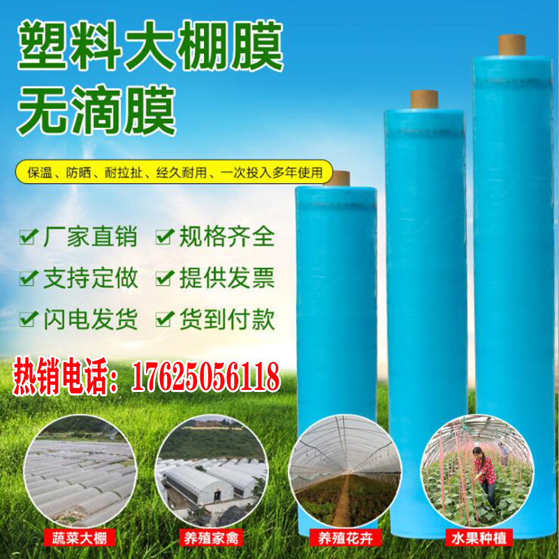 大棚膜长寿抗氧化无滴整卷塑料薄膜纸葡萄用西瓜蔬菜抗老化流滴膜