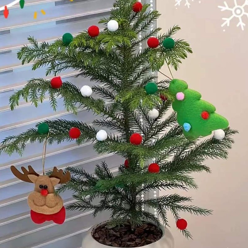 半夏森林土培南洋杉好养超级植物绿植礼物38节伴手礼室内桌花