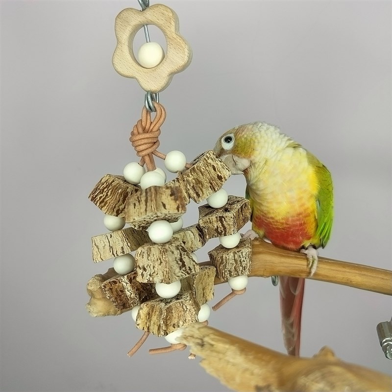 牡丹玄凤虎皮鹦鹉解闷磨嘴补钙啃咬玩具杨桃菠萝鸟笼秋千站棒站架