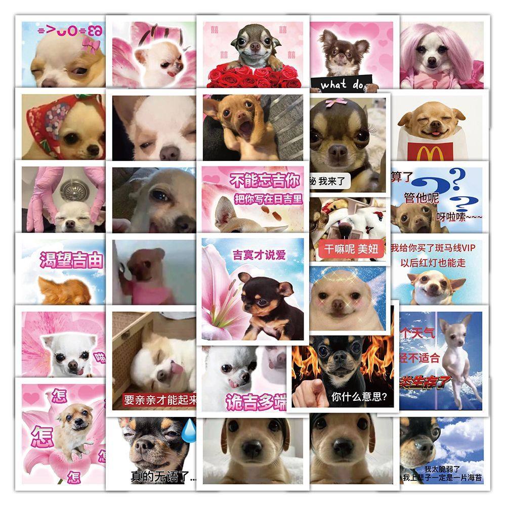 400张吉娃娃文字表情包抽象趣味梗图表情包演我精神状态贴纸diy