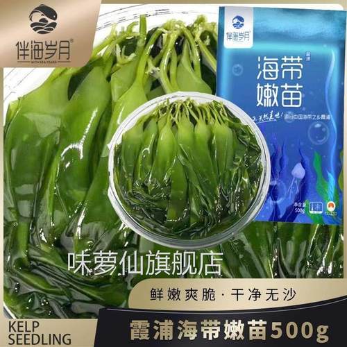 促销伴海岁月海带嫩苗霞浦海带苗嫩苗芽凉拌火锅煲汤裙带菜盐渍海