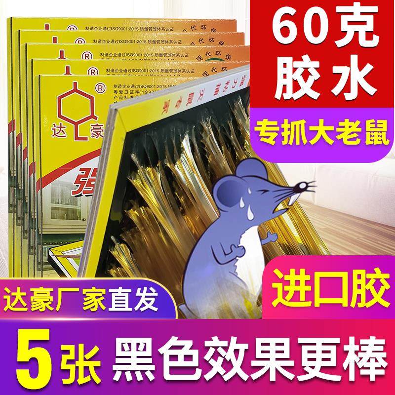 达豪强力粘鼠板灭鼠大老鼠贴粘老鼠胶抓捕鼠器大师傅5张60克胶水