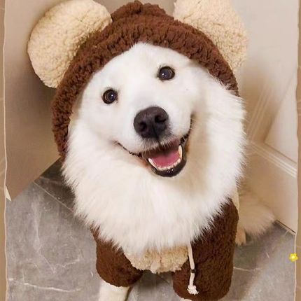 狗狗衣服金毛柴犬k柯基拉布拉多中型大型犬宠物加厚加绒保暖秋冬