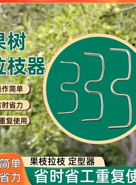 m型果树拉枝器别枝器背上枝侧枝拉枝定型器果树压枝器拉枝神器