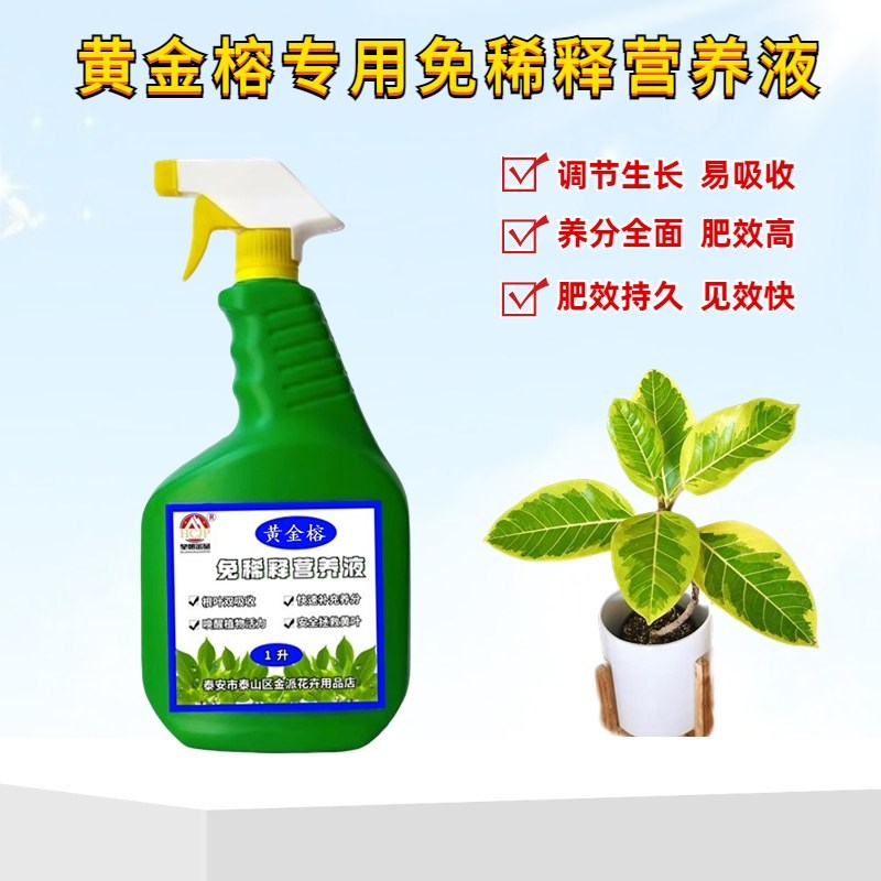青叶橡皮树富贵榕黄金榕专用营养液盆栽植物叶面喷施免稀释花肥料