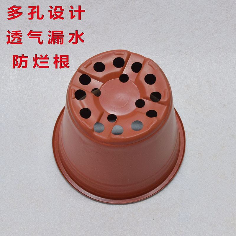 塑料双色花盆小苗专用培育盆摔不坏的多肉花盆加厚育苗钵简易花盆