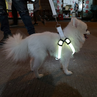 狗狗牵引绳背心式LED发光胸背泰迪链子夏天夜光小型犬发光牵引绳